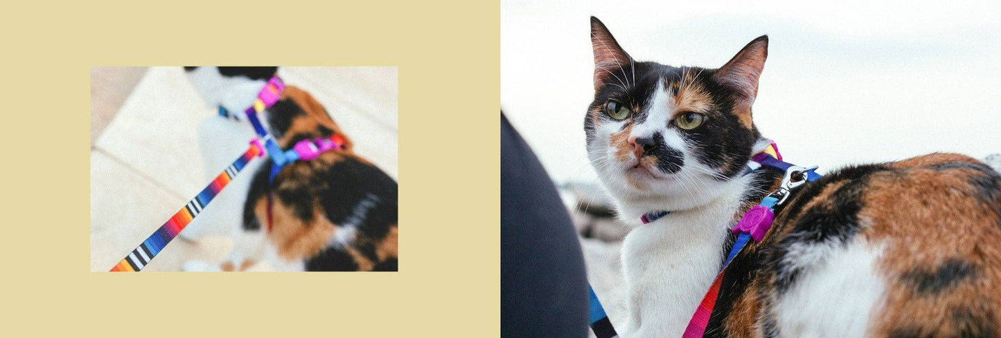 Prisma | Cat Collar