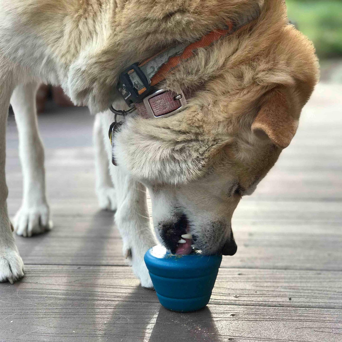 Space Capsule eDispenser: Ultra-Durable Chew & Enrichment Feeder