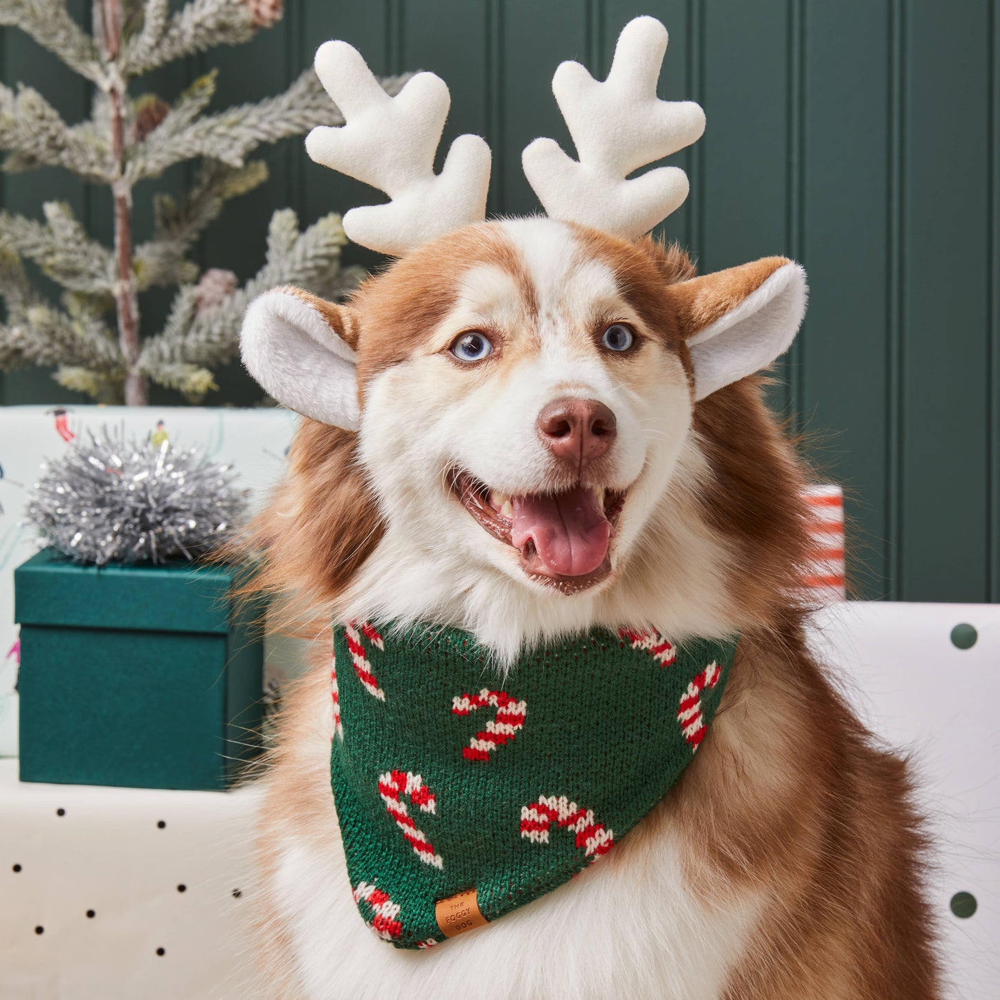 Foggy Dog Candy Cane Knit Holiday Bandana