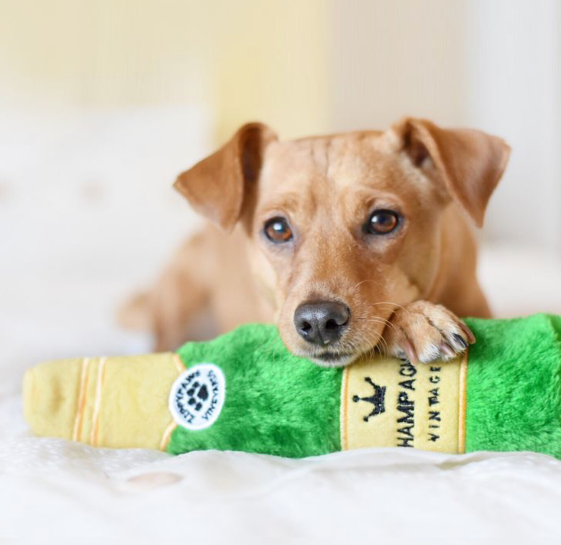 Happy Hour Crusherz - Champagne - Dog Toy