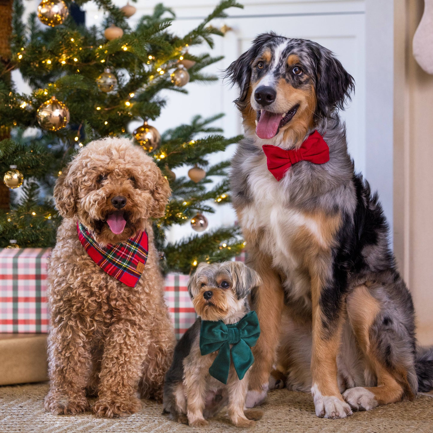 Foggy Dog Tartan Plaid Flannel Bandana
