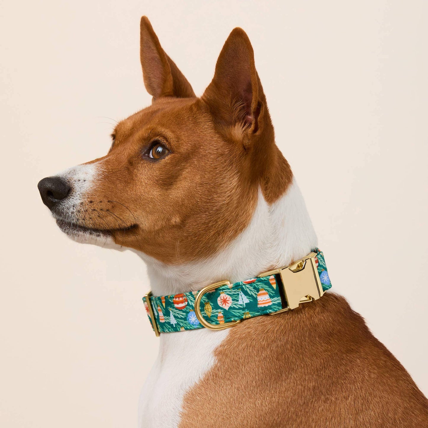 Festive Ornaments Dog Collar