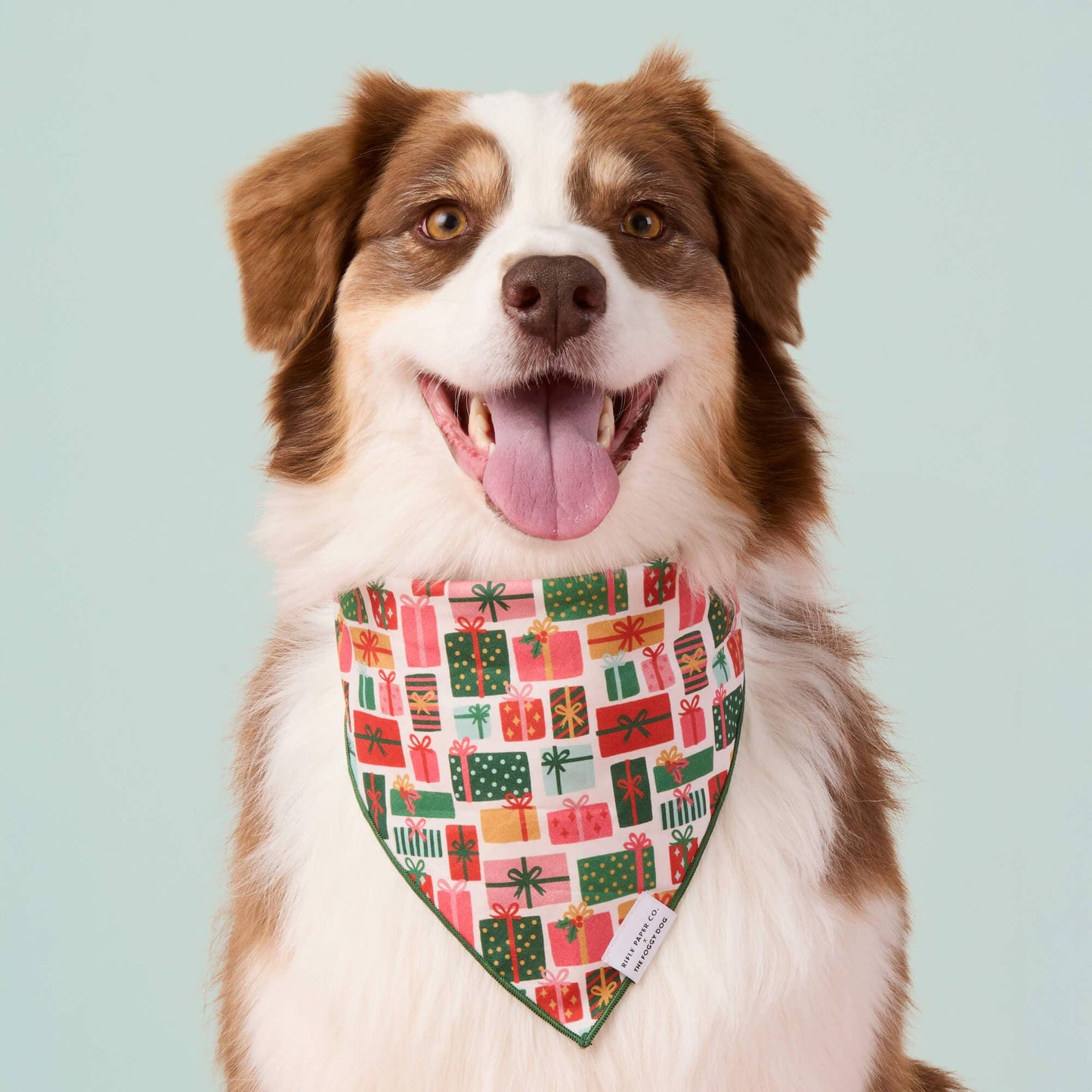 Rifle Paper Co. x TFD Holiday Gifts Dog Bandana