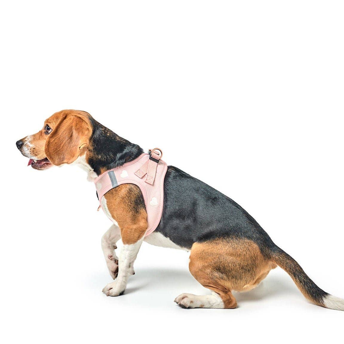 SoHo Dog Harness - Hearts