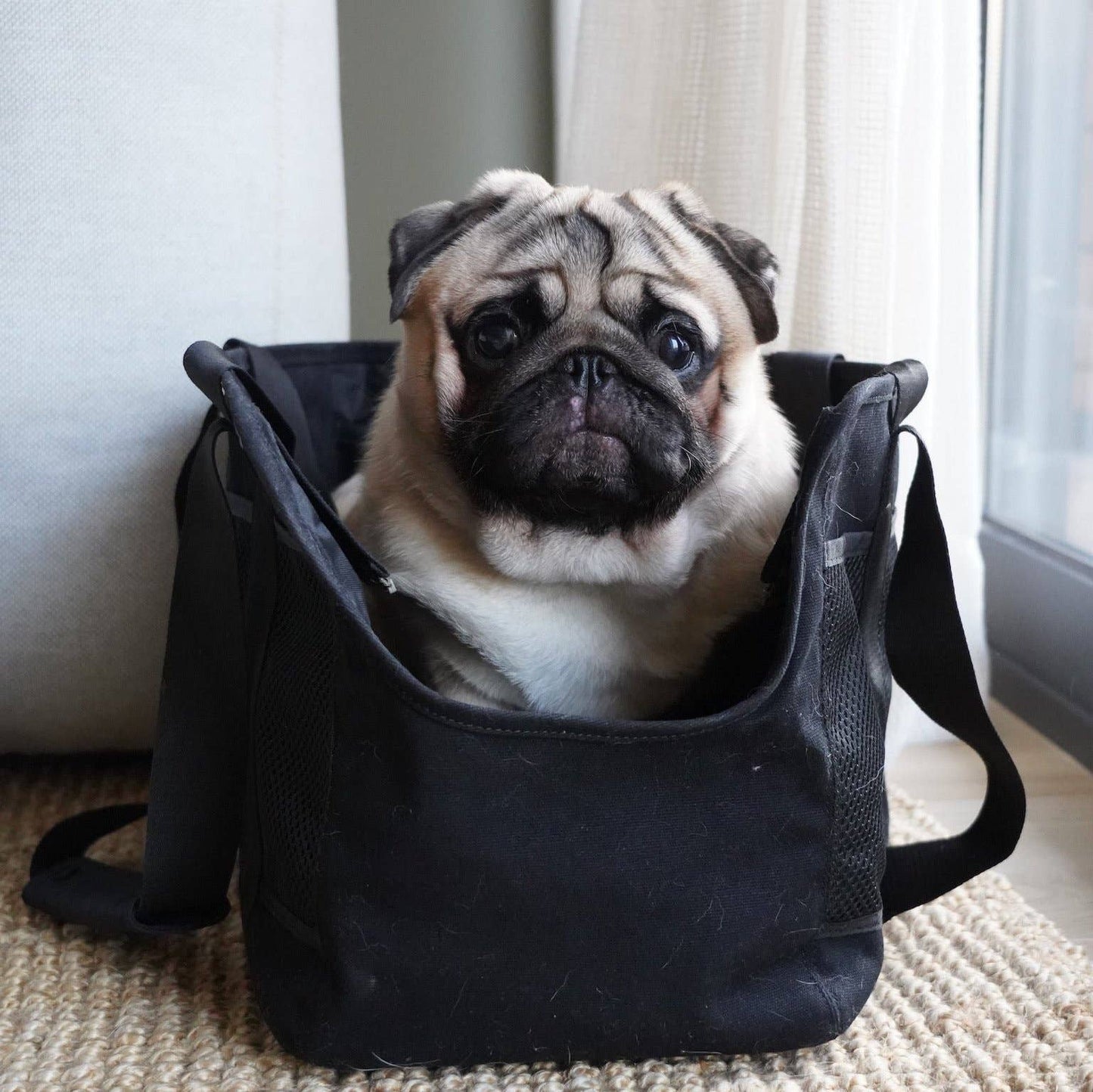 SUBWAY PET CARRIER