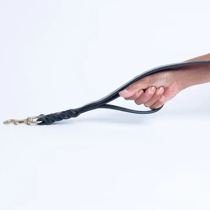 Leather Braided Leash DBL Handle by ANGEL™