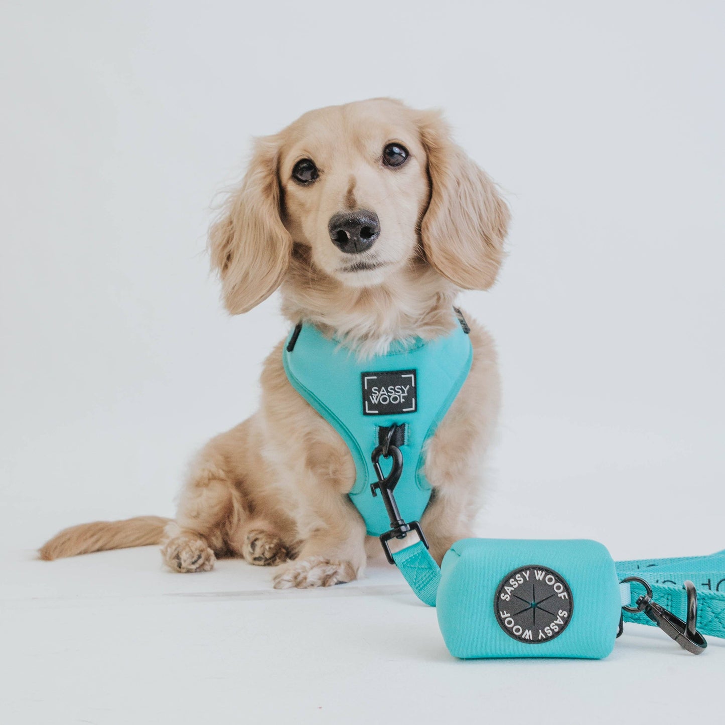 Dog Waste Bag Holder - Neon Blue
