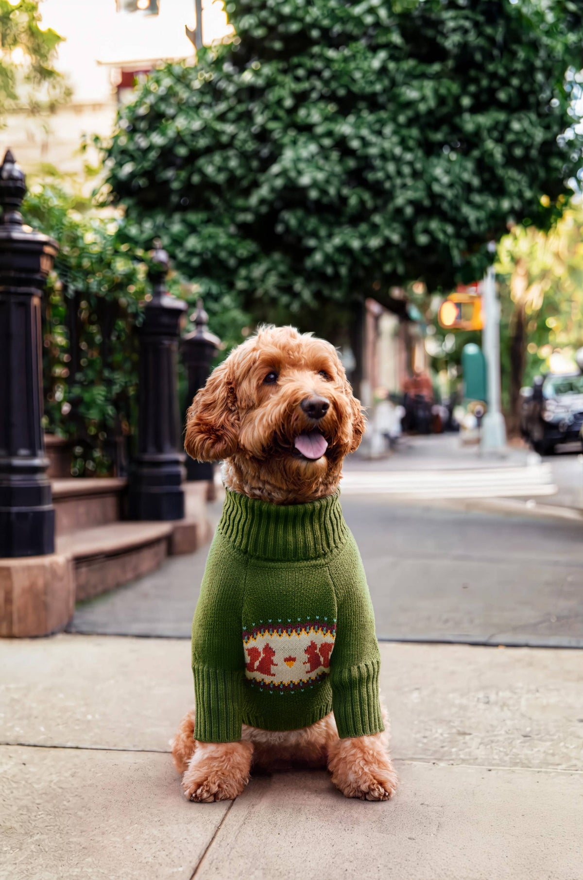 Squirrel Sweater