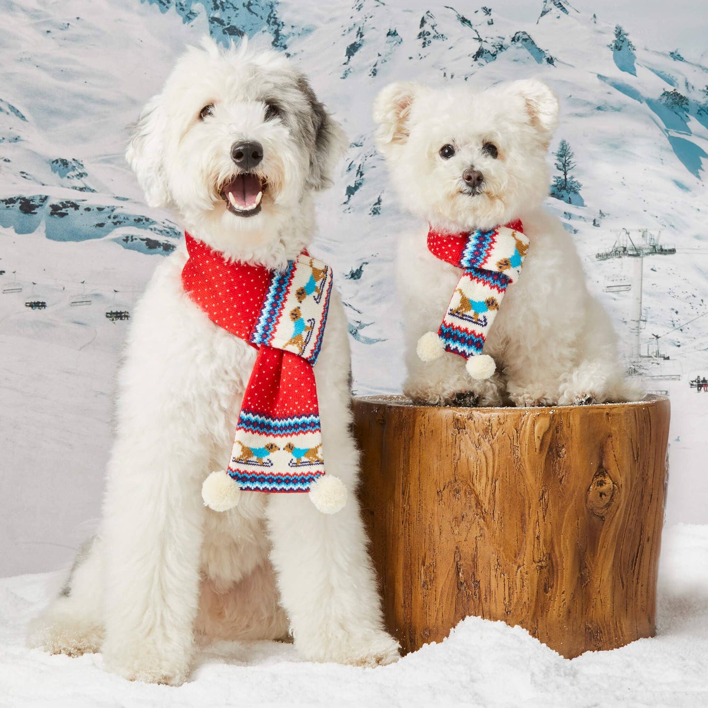 Foggy Dog Hit the Slopes Knit Scarf