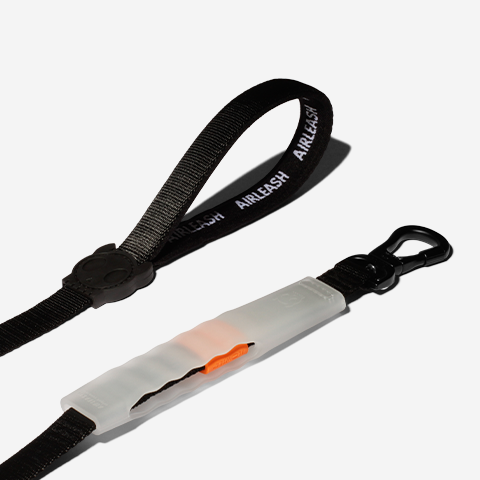 Classic | Airleash