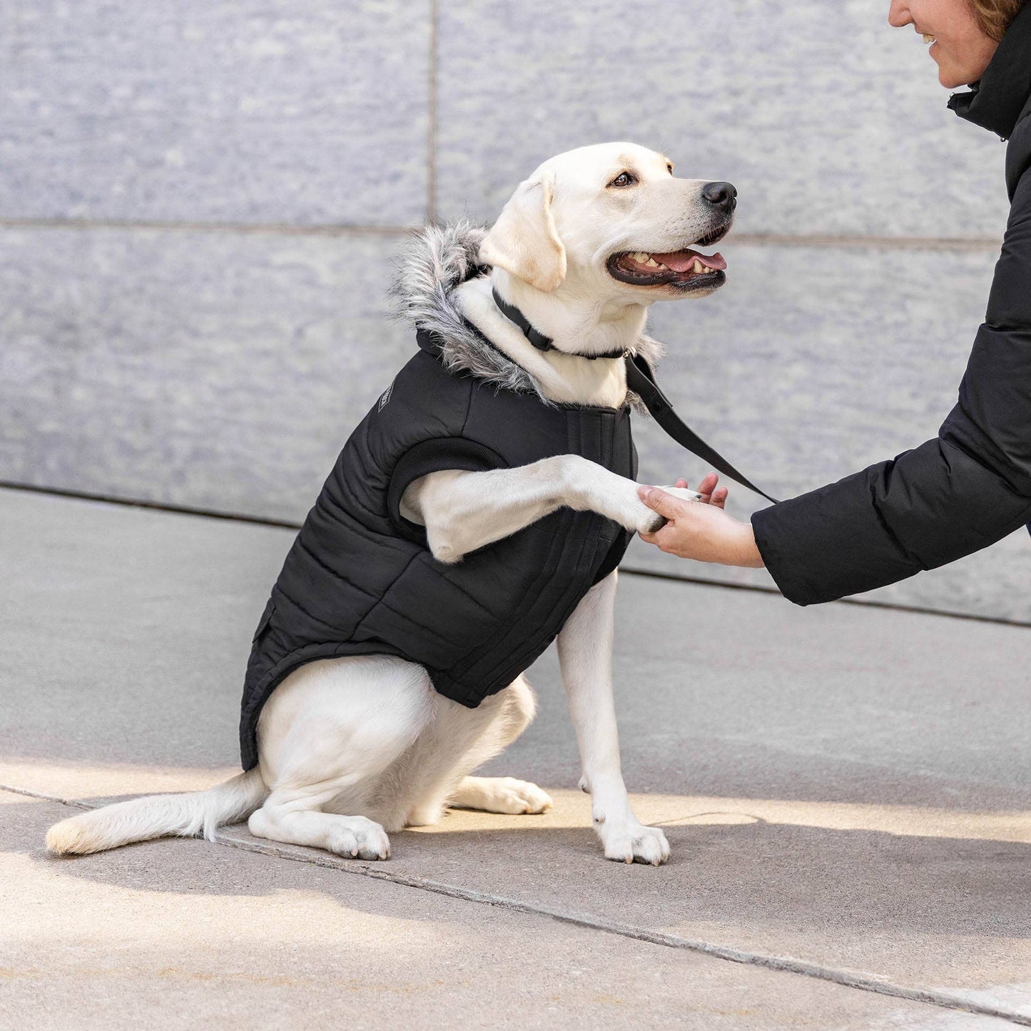 True North Dog Parka