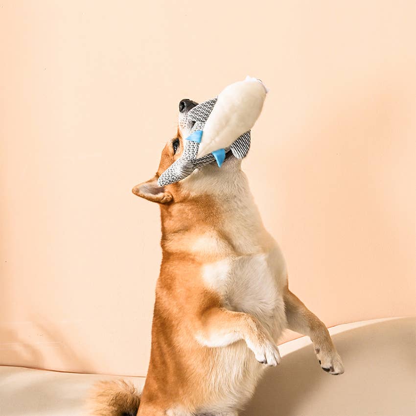 HugSmart Ocean Pals | Shark Toy