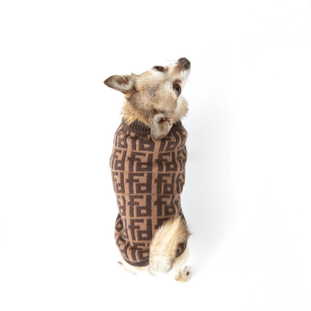 Designer Sweater Brown