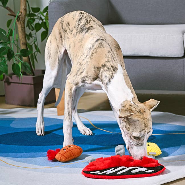 OrilandPet BBQ Grill Toy