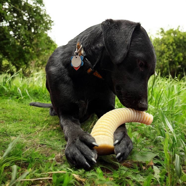 Flufflehorn eChew Ultra Durable Nylon Dog Chew - XL