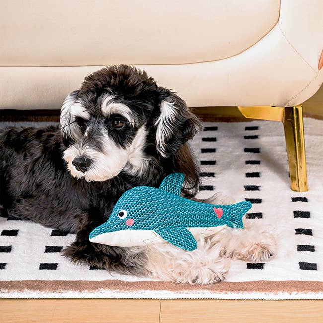 HugSmart Ocean Pals | Dolphin