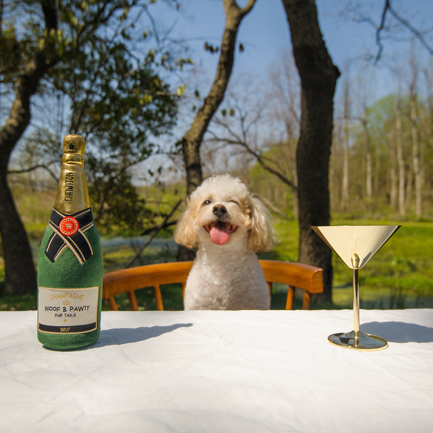 CHEWFFON Plush Champagne Bottle Squeaky Dog Toy