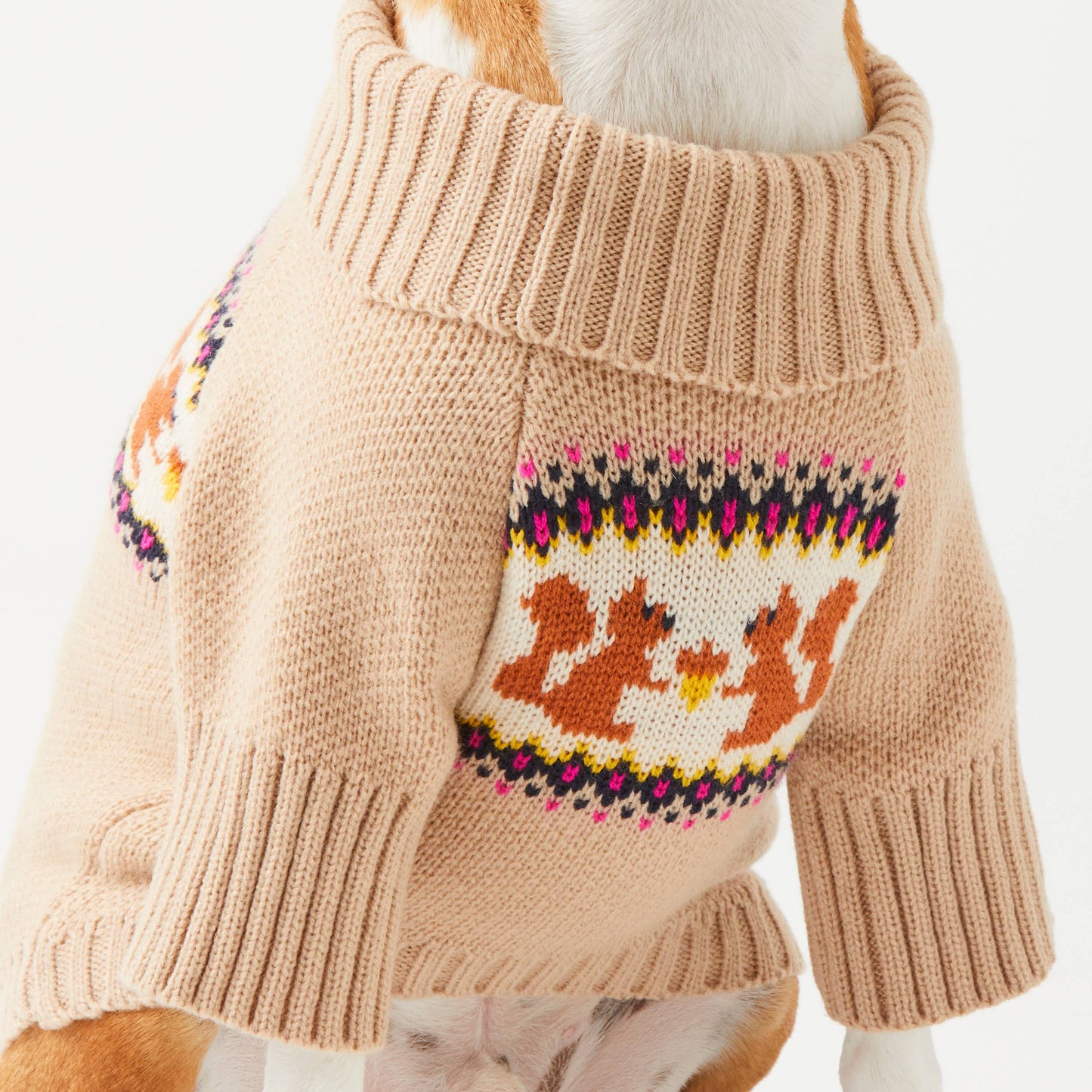 Foggy Dog Squirrel Sweater
