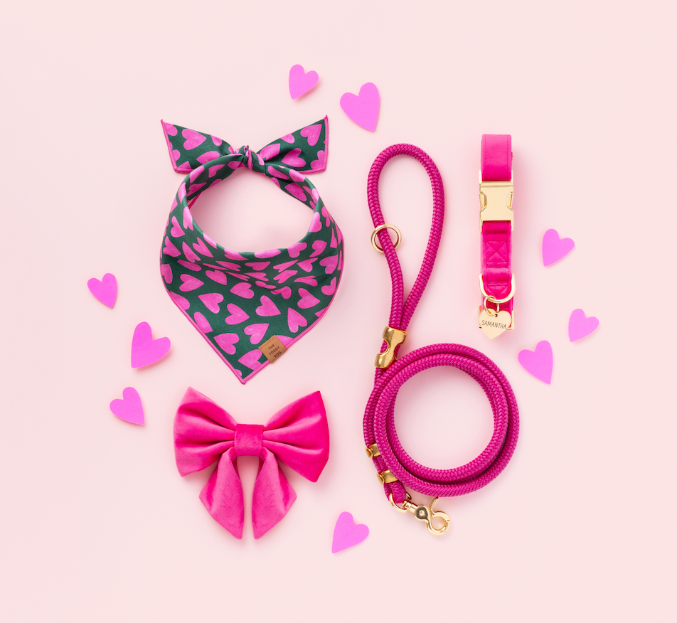 Lovestruck Dog Bandana
