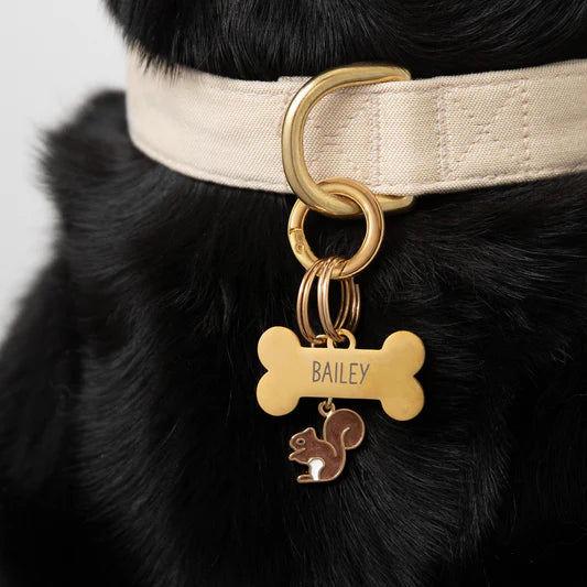 The Foggy Dog Collar Charm