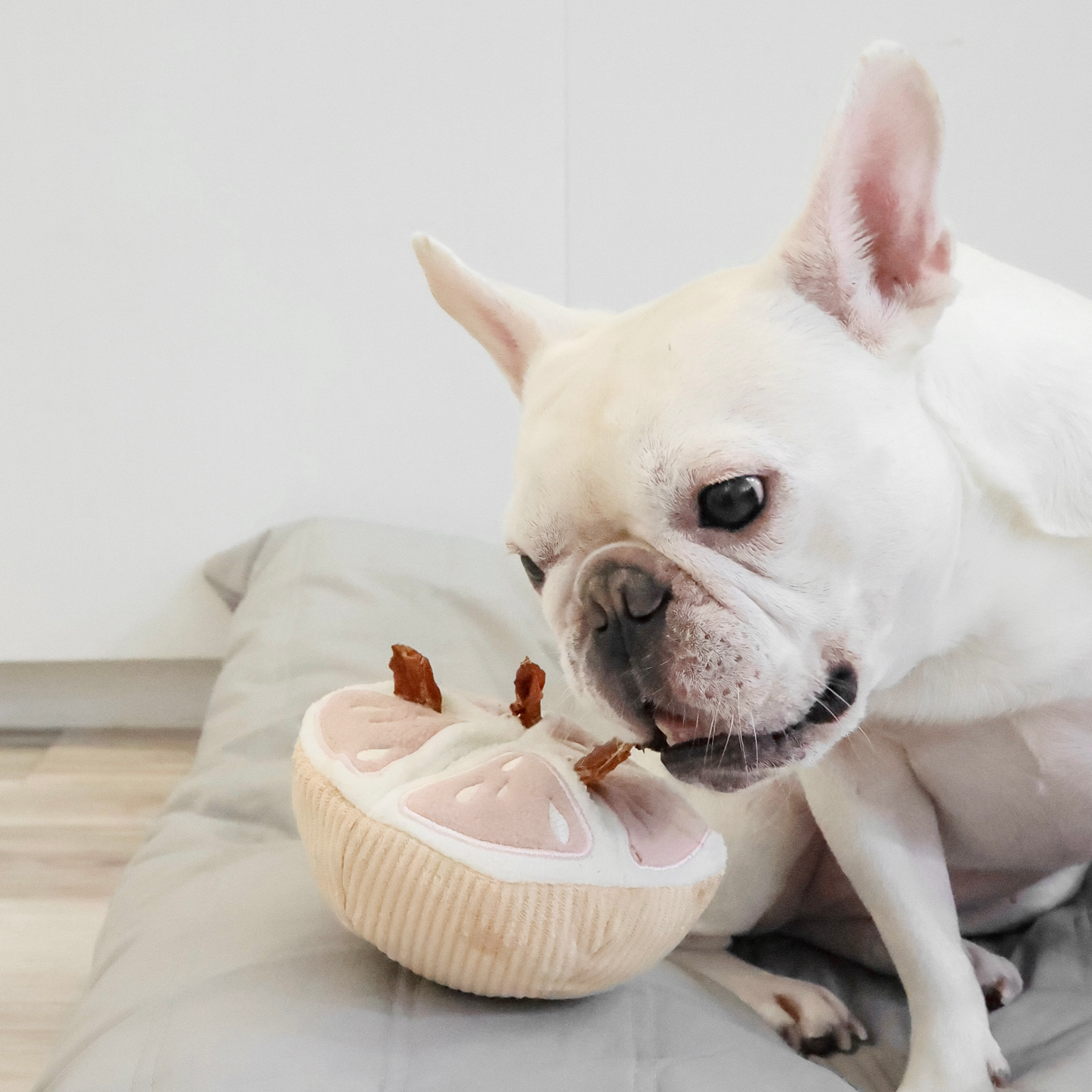 GRAPEFRUIT SNUFFLE TOY