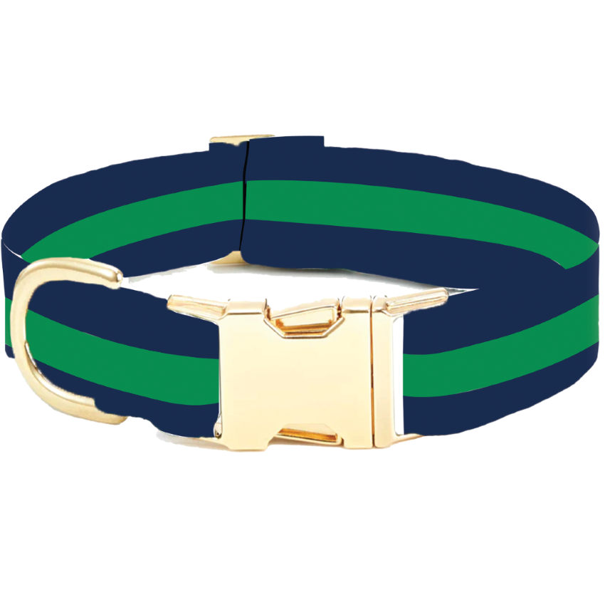 Camden Striped Webbing Dog Collar