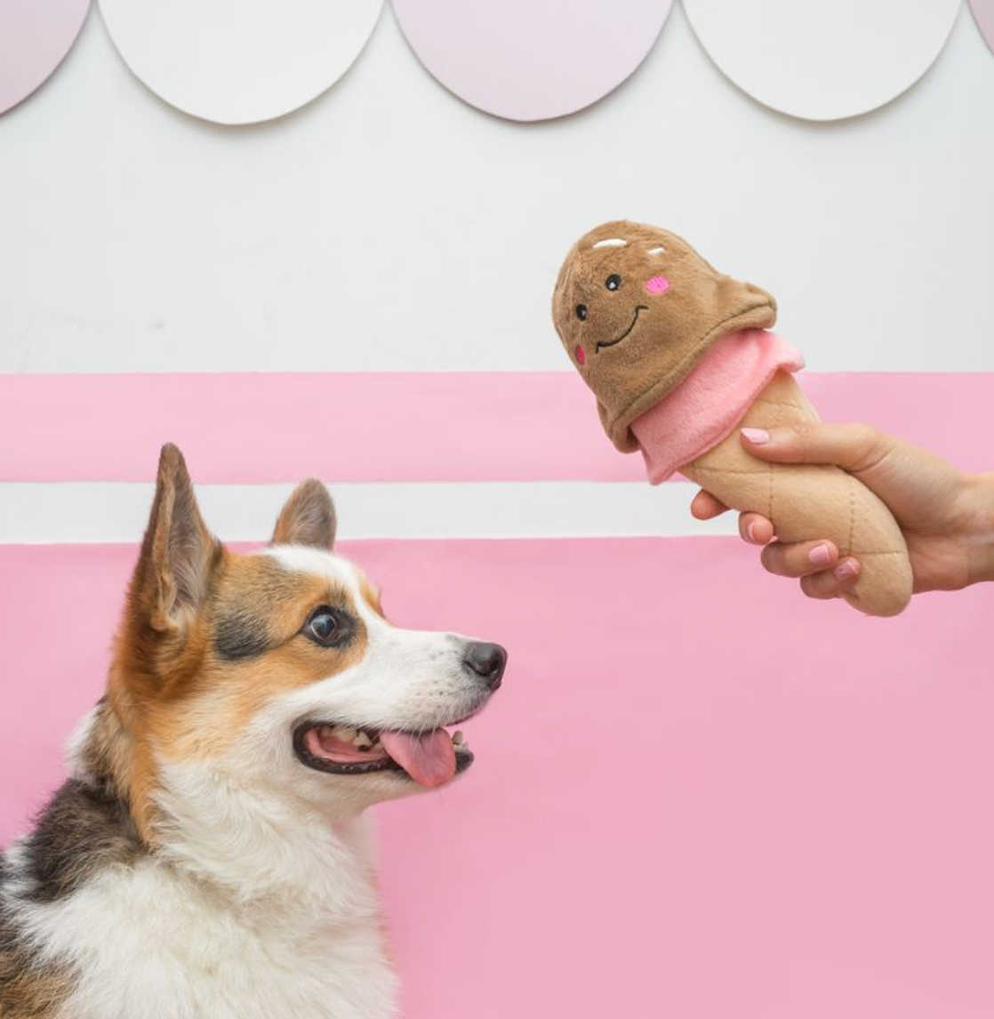 NomNomz® - Ice Cream - Summer Dog Toy