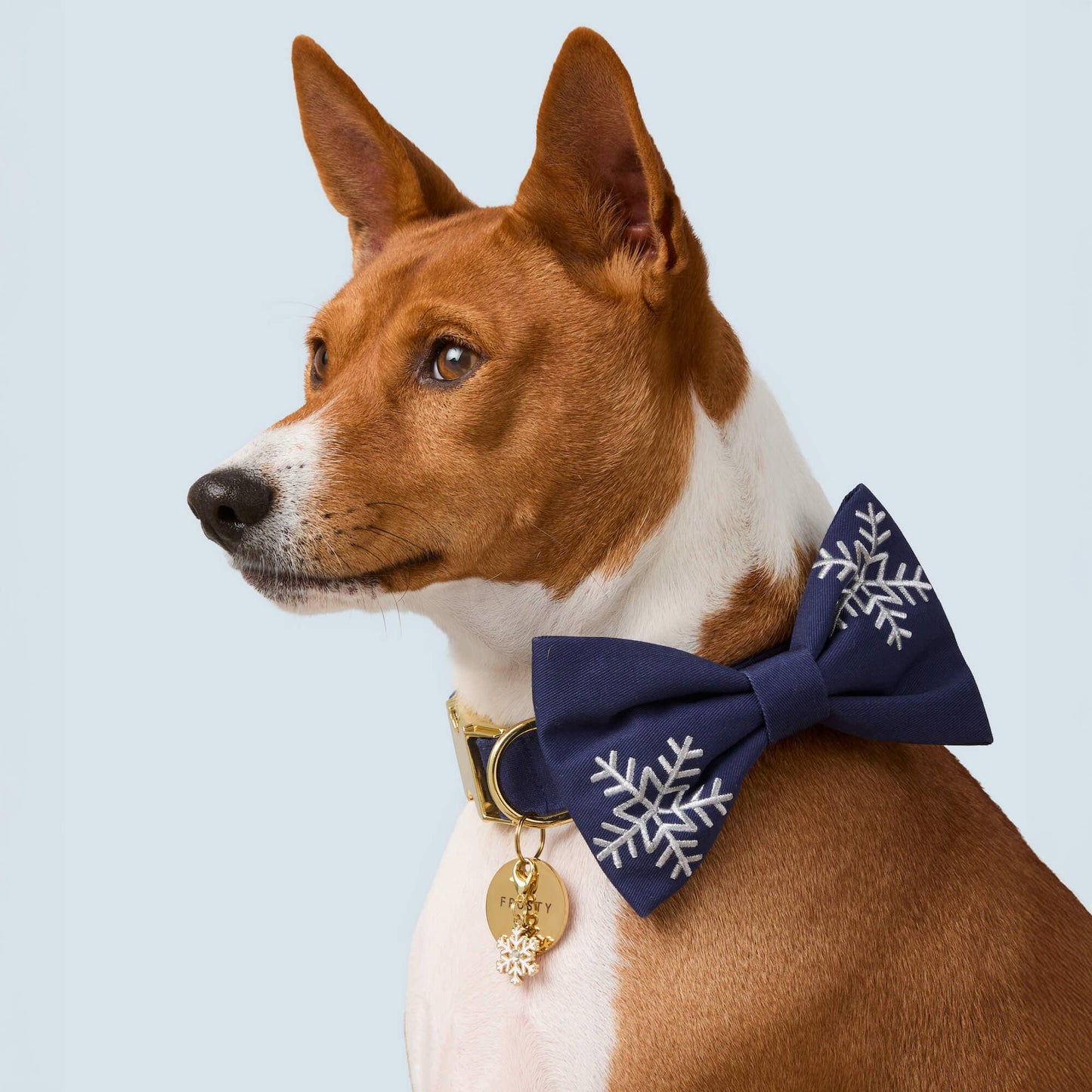 Snowflakes Embroidered Dog Bow Tie