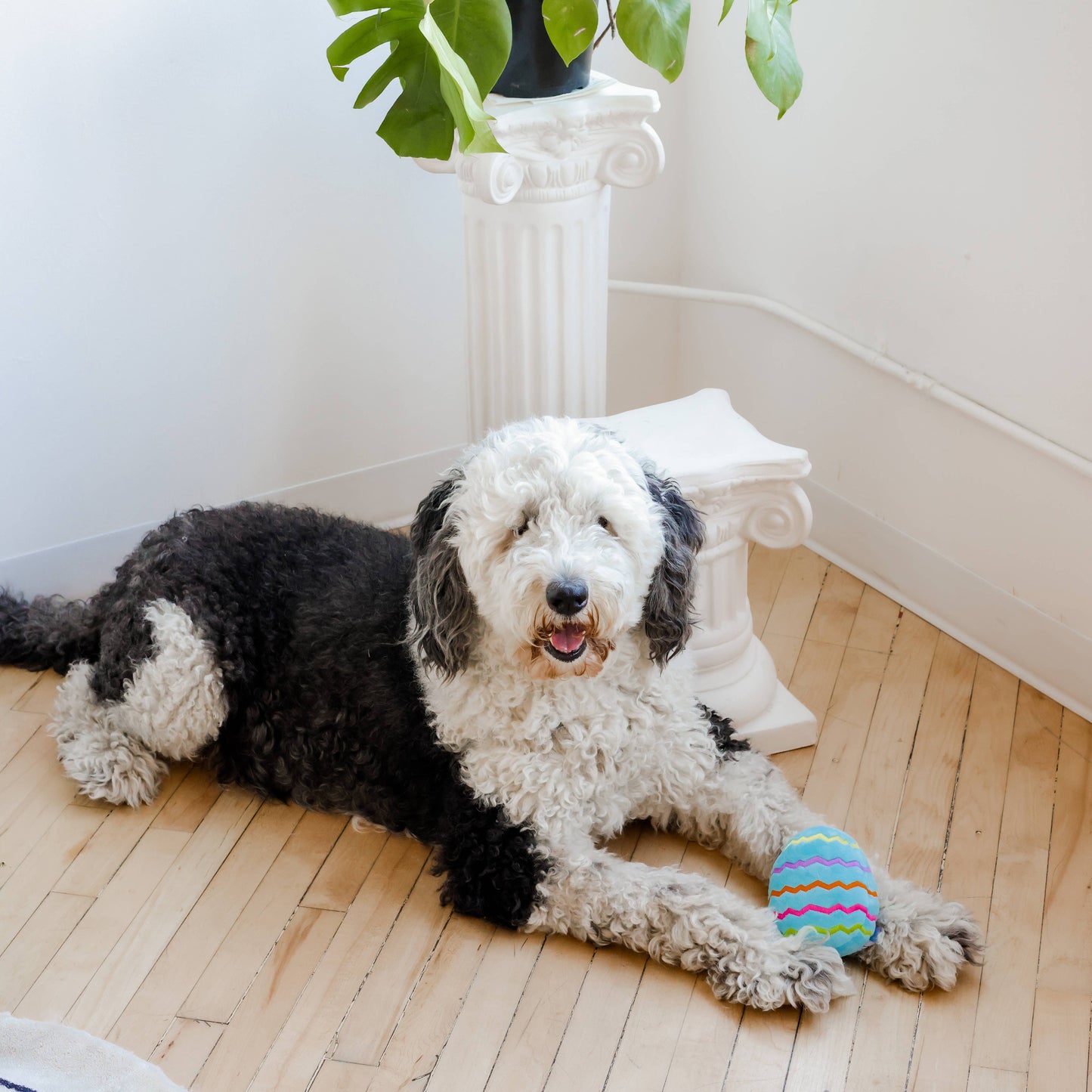 Midlee Plush Easter Egg Dog Toy - Blue