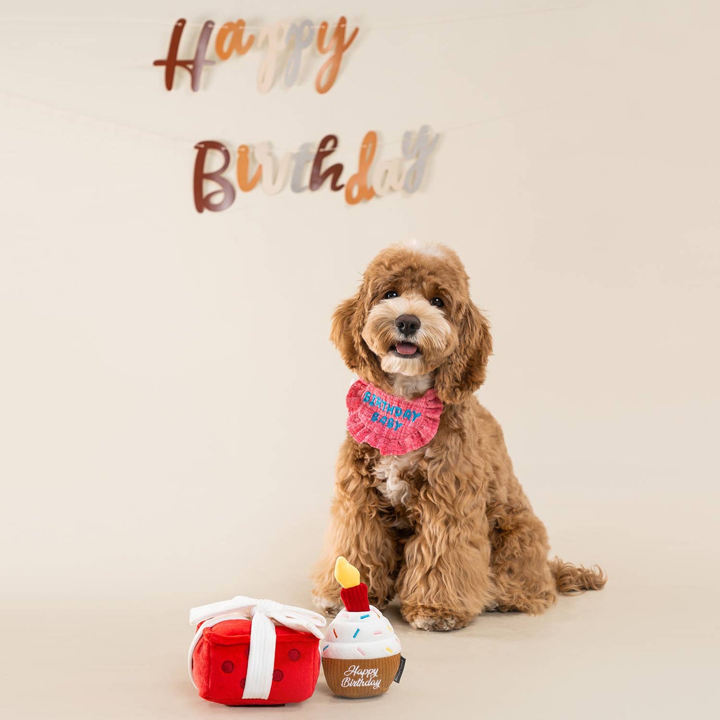 CHEWFFON Cupcake Dog Toy Interactive Squeaky Birthday Treat