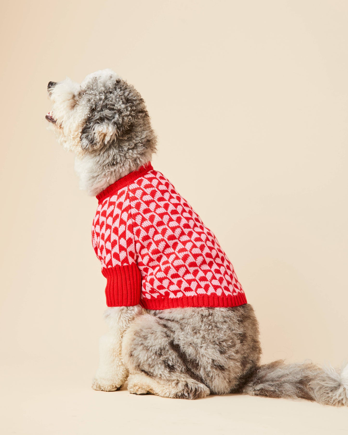 Heart Stripe Valentine's Day Sweater