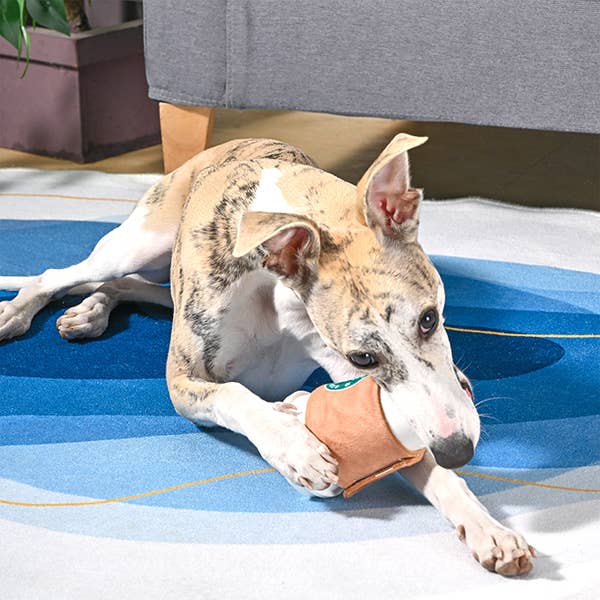 HugSmart StarPaws Coffee Toy