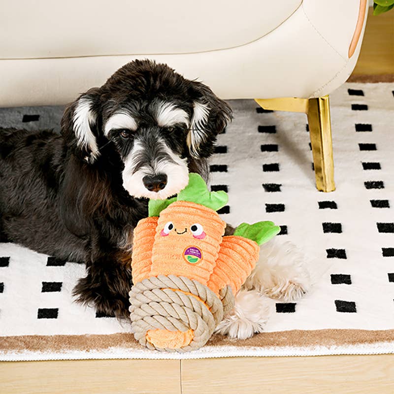 HugSmart Pet - Puppy Garden | Carrot Bunch - Dog Rope Toy