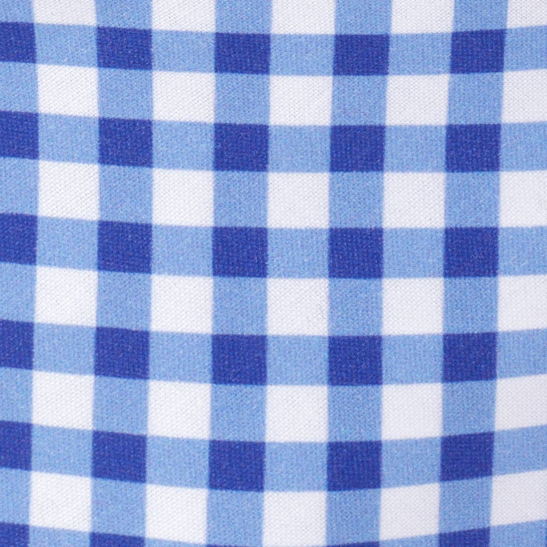 Blue Gingham Dog Bandana