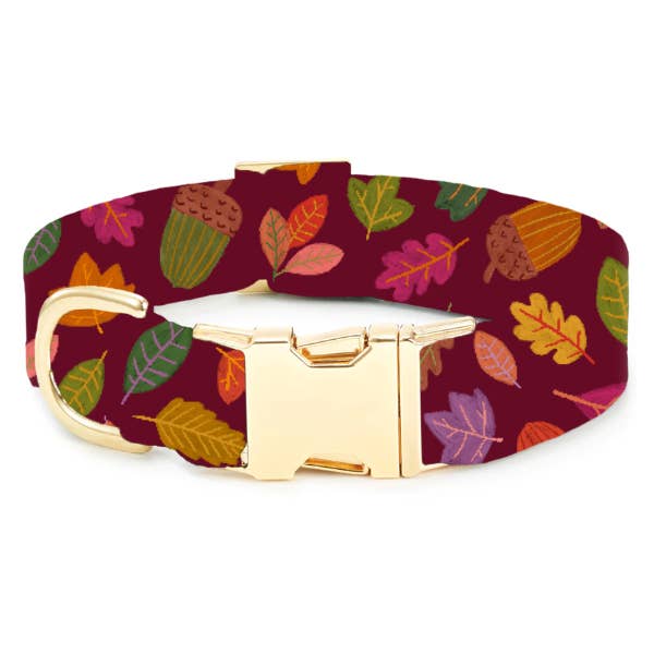 Nuts about You Dog Collar