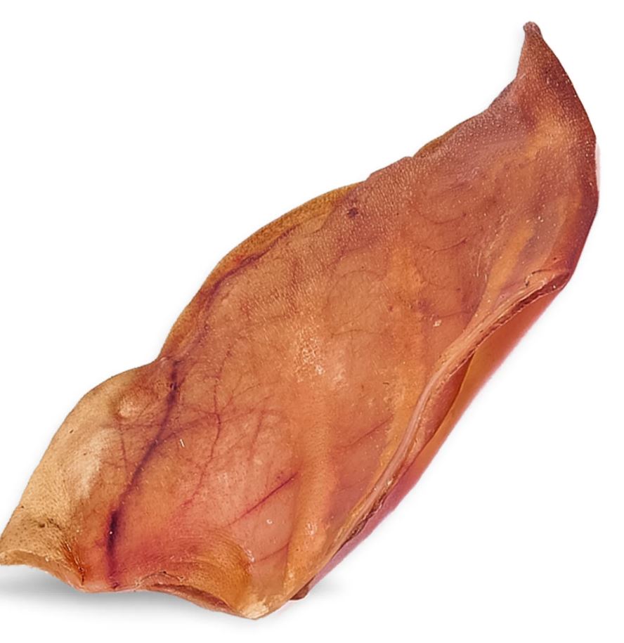 Raw Dog Chew Large Pig Ear