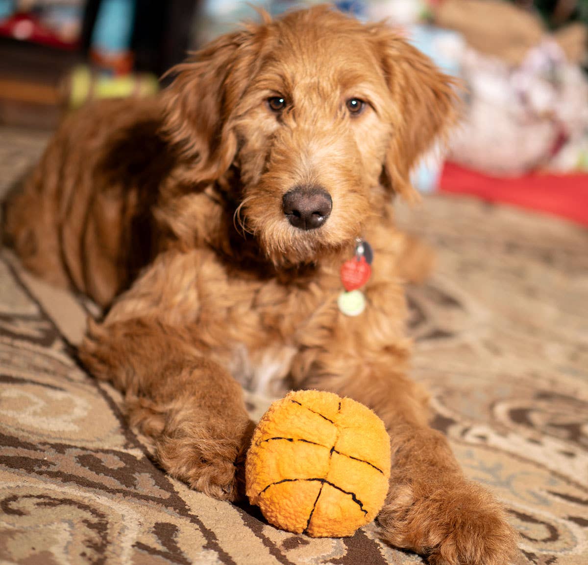 ThoozyPet Basketball Toy 4"