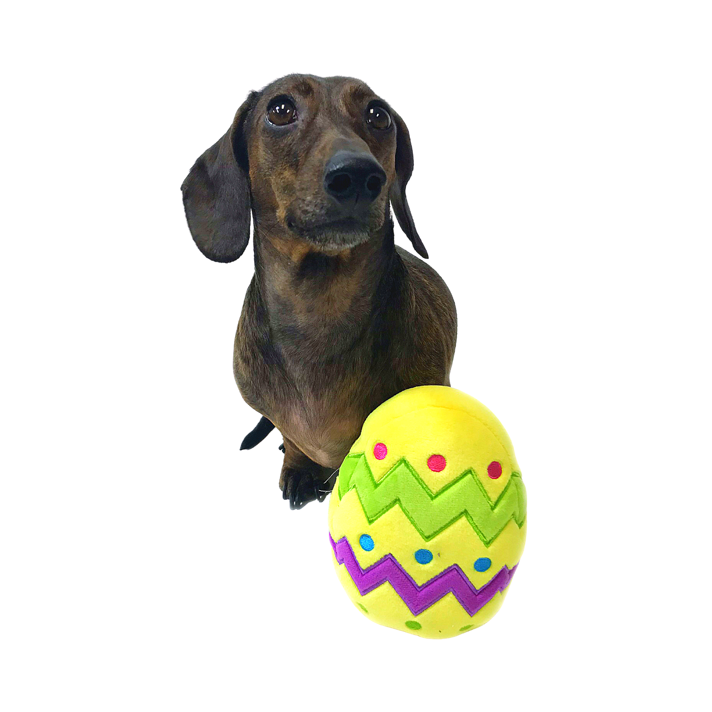 Midlee Plush Easter Egg Dog Toy with Squeaker
