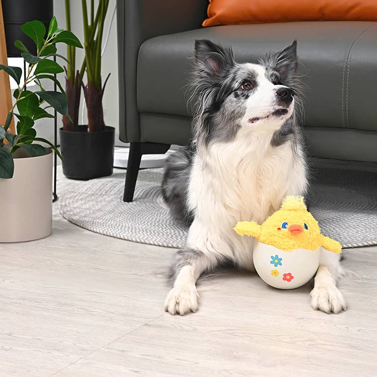 HugSmart Pet - Hoppin' Easter | Baby Chick - Dog Plush Toy