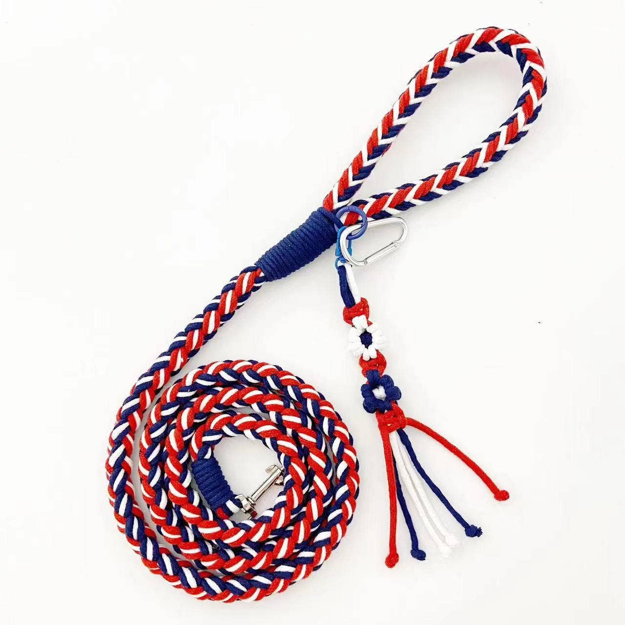 Loofie - 59in Pastel Braided Dog Leash