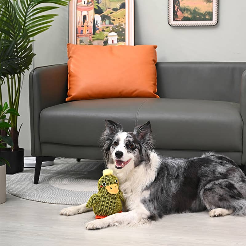 HugSmart Farm Friendz | Tuffy Duck Toy