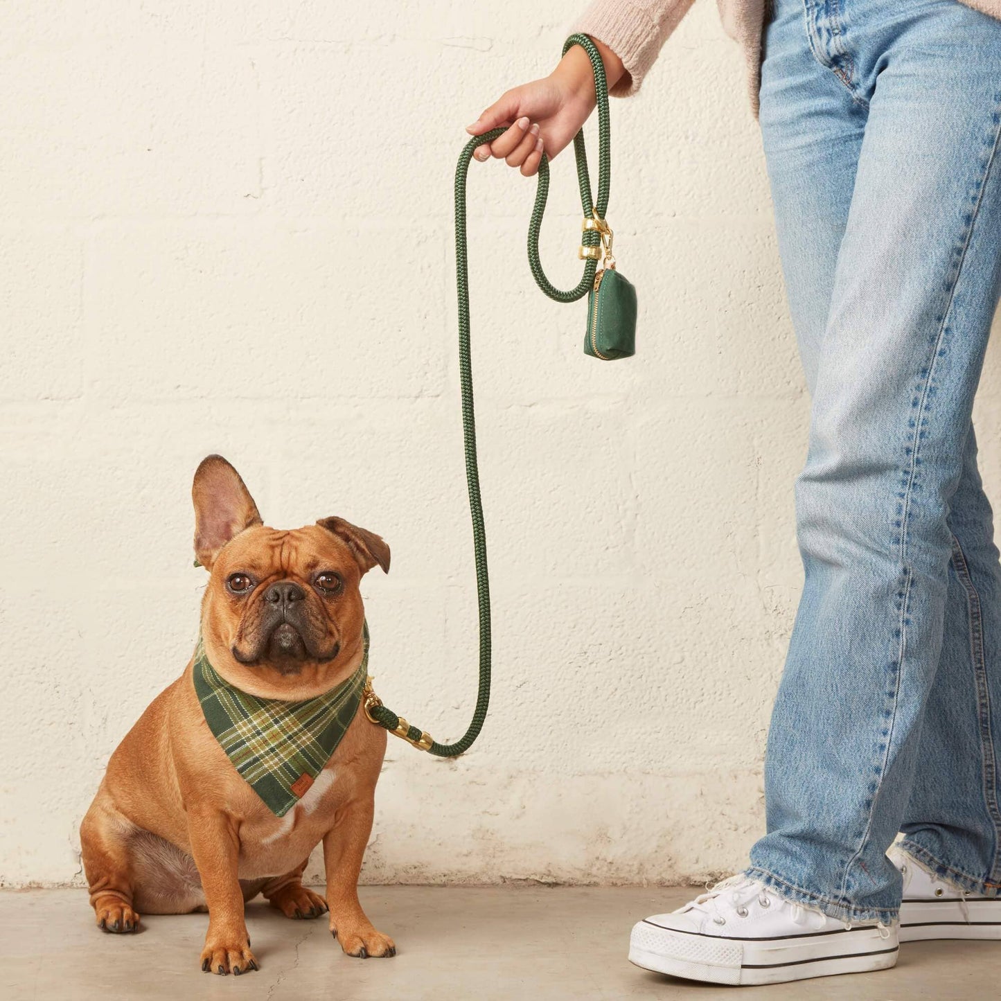 Foggy Dog Evergreen Poop Bag Dispenser