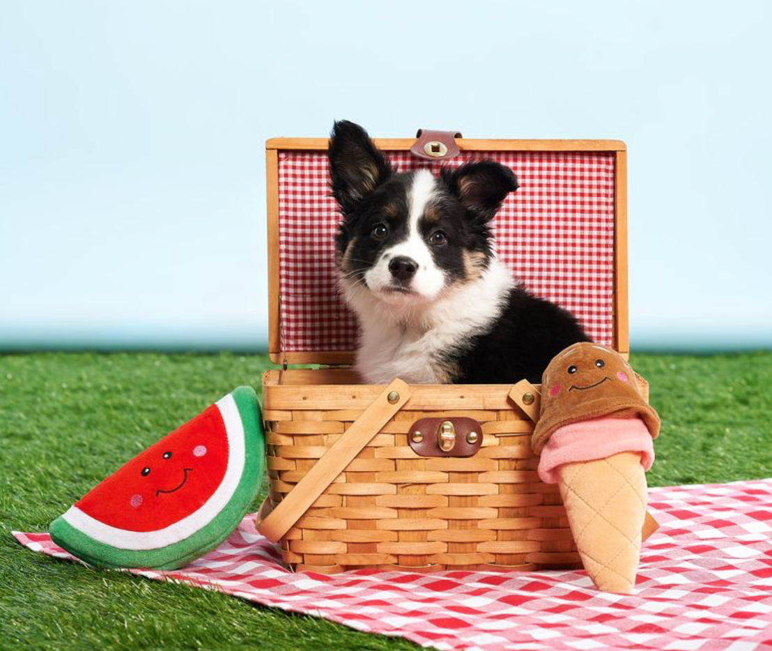 NomNomz® - Ice Cream - Summer Dog Toy