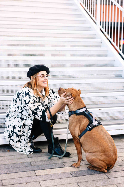 Rowan Dog Harness | Black