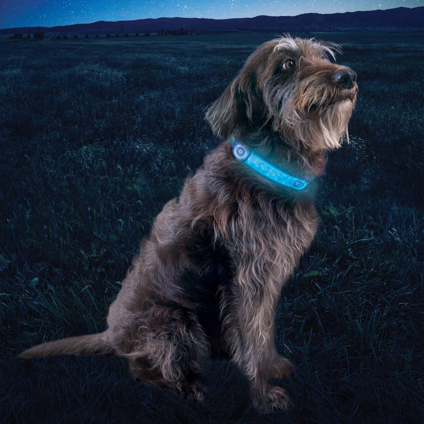 Nite Ize Rechargeable LED Collar Cover