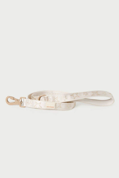 Maxbone x Hollywood Dog Walk Set