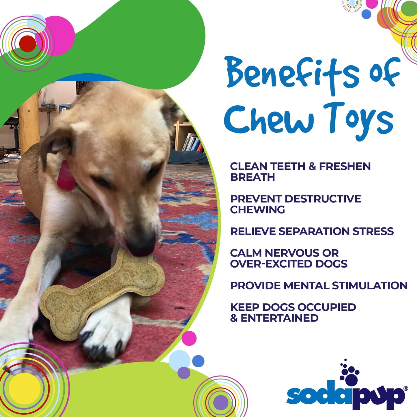 Bone eChew Ultra Durable Nylon Dog Chew Toy
