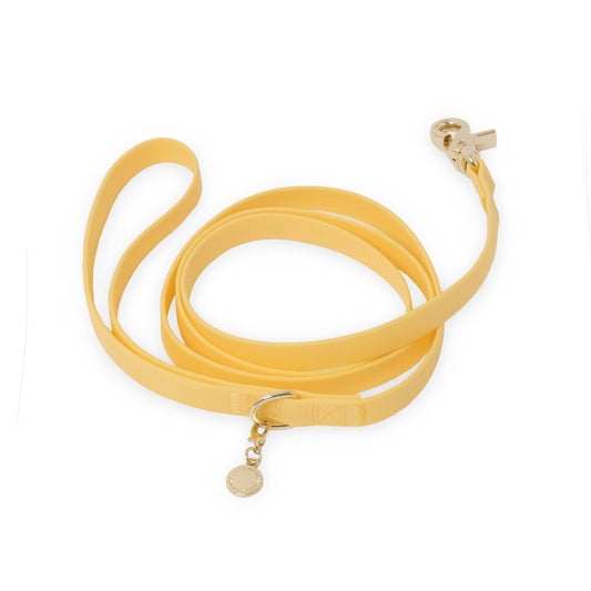 Dog Leash Waterproof - Dandelion Yellow | 4 ft, 5 ft, 6 ft