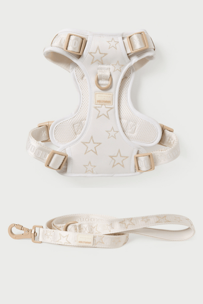 Maxbone x Hollywood Dog Walk Set