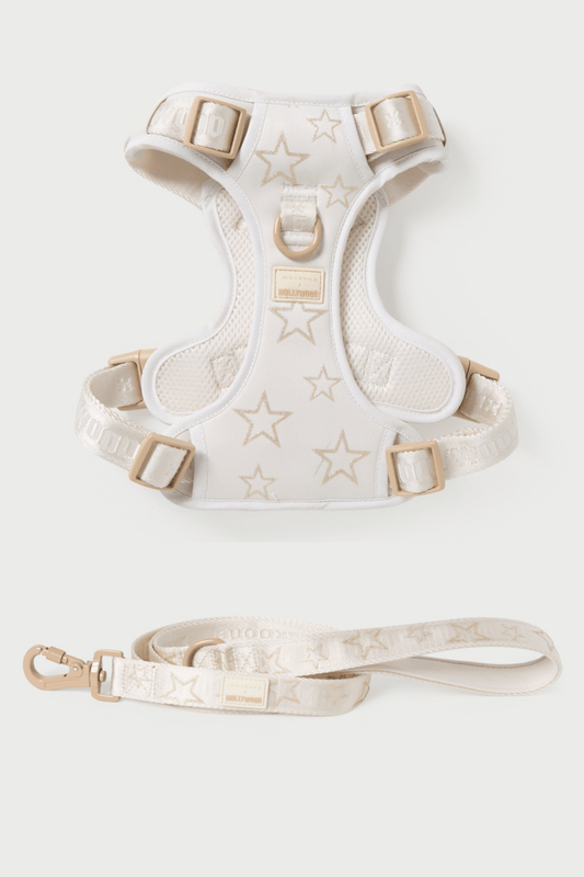 Maxbone x Hollywood Dog Walk Set